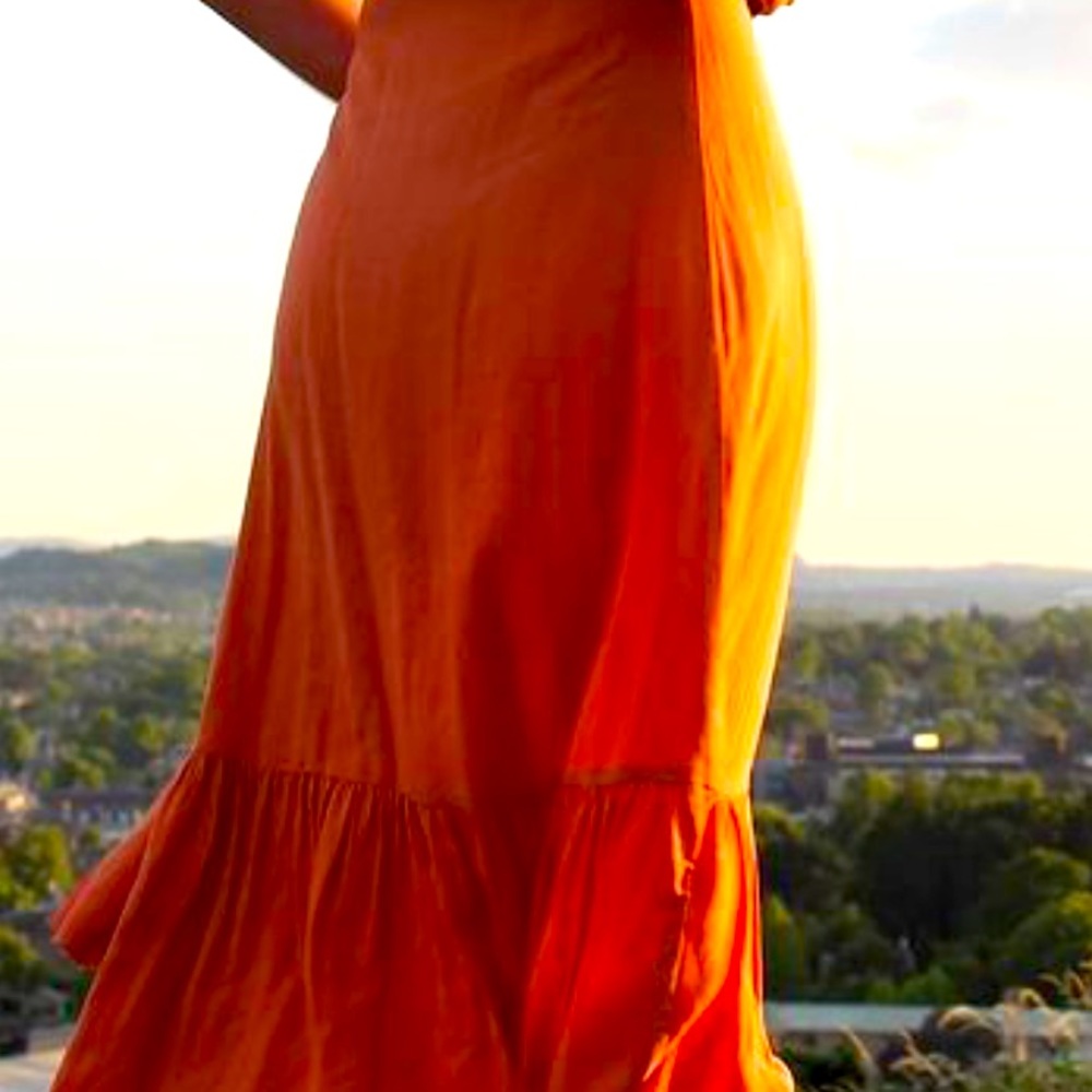 🧡BEST DRESS EVER🧡 - Picture 3 of 4